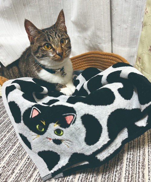 MILLION CARATS（ミリオンカラッツ） タオル : ZOZOTOWN Yahoo!店