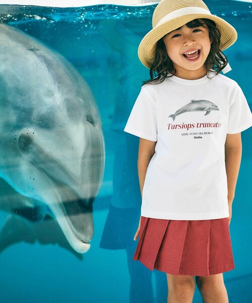 BeBe（ベベ） tシャツ 「 速乾 」「神戸須磨シーワールド×BeBe」シャチ