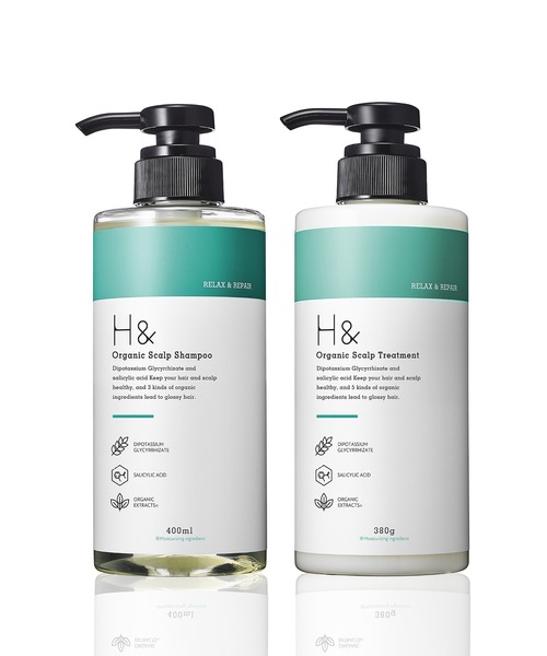 H＆ シャンプー アッシュアンド シャンプー＆トリートメントセット