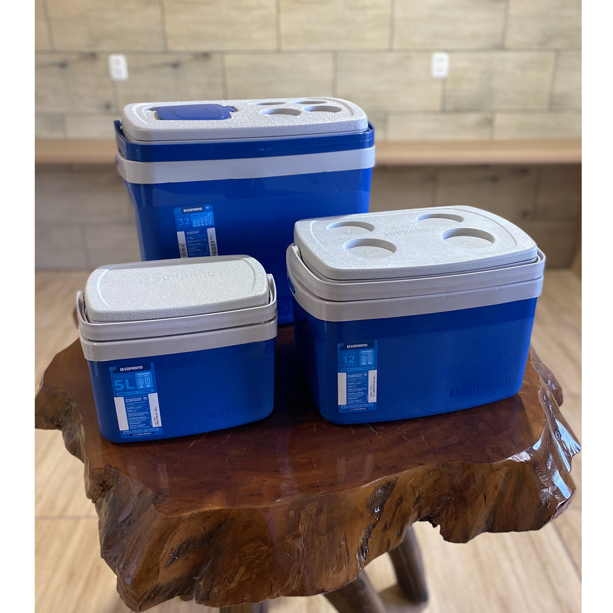 Conjunto 3 Caixas Térmicas 32L 12L e 5L com Alças de Mão