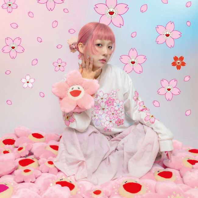 Zingaro official Web