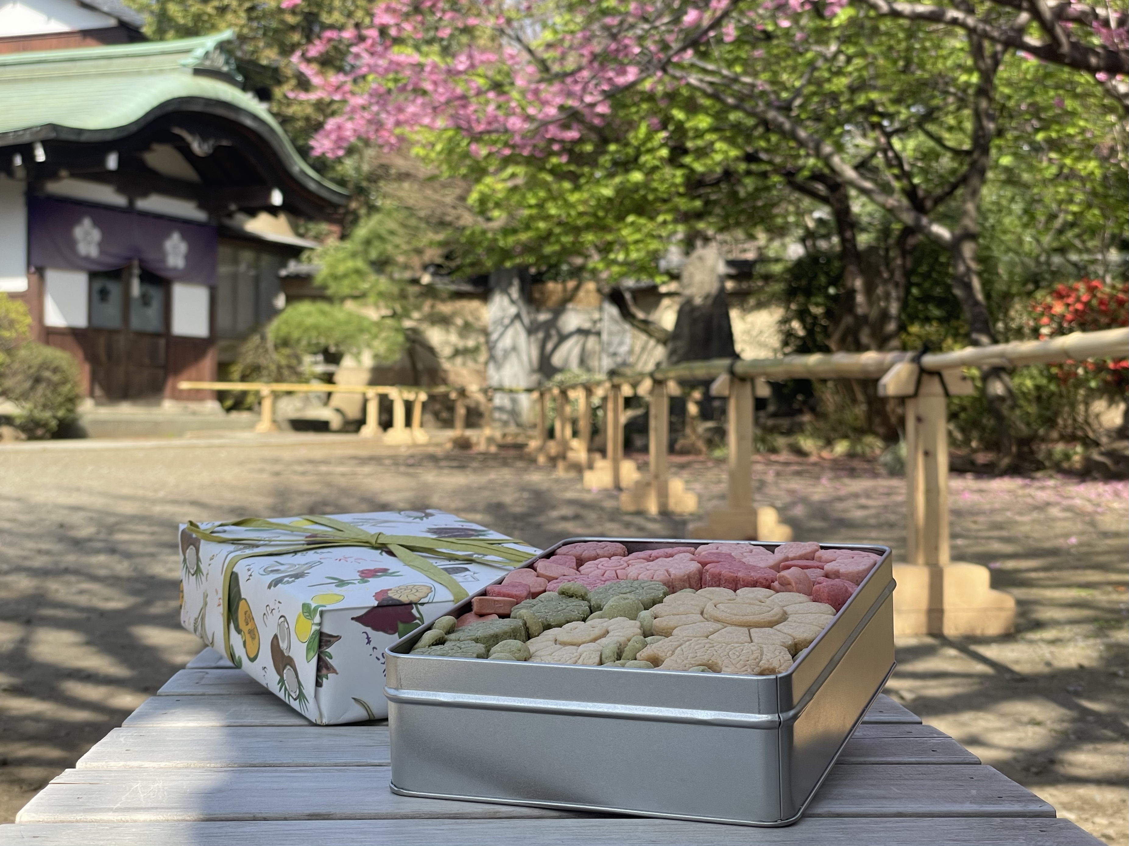 3/19(金)12:00〜より「お花の親子のお花見クッキー缶」を予約販売