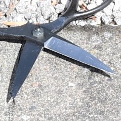 造園道具.com / 岡恒 A型 植木鋏 ロング