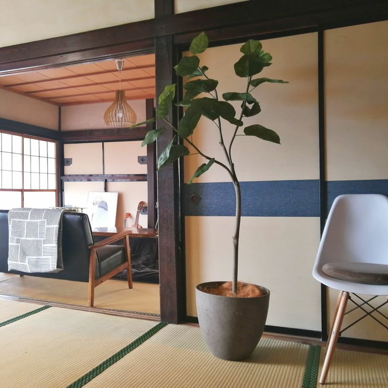 No9266 プレミアム光触媒フェイクグリーン「幹を曲げて、フォルムが