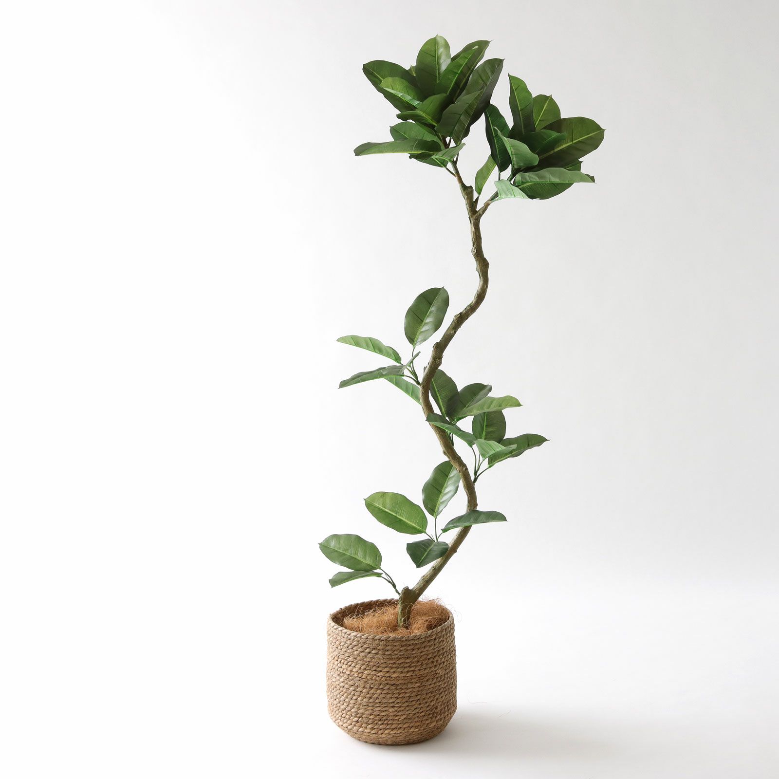 プレミアム光触媒フェイクグリーン 造花ドットコム zouka.com