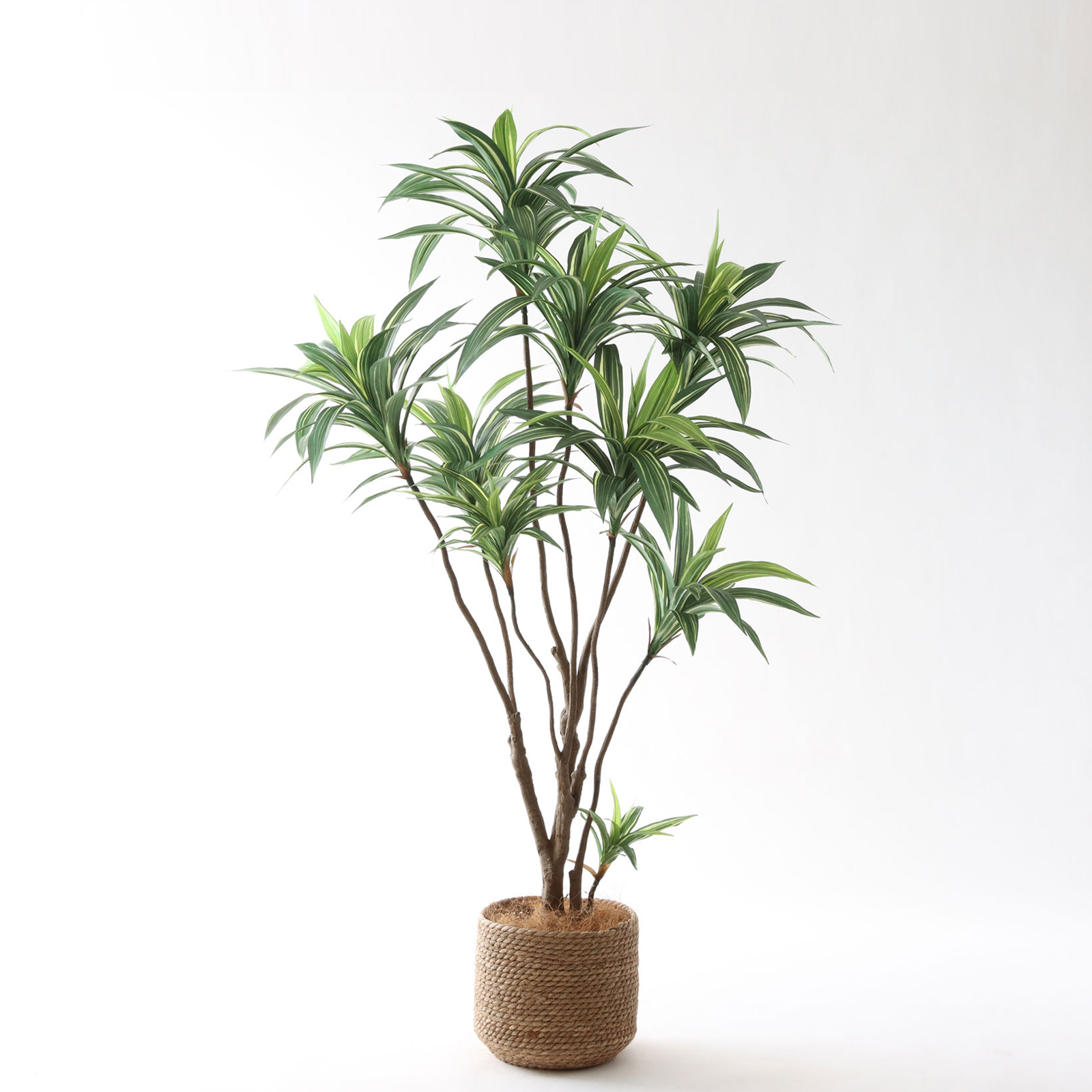 コーヒーの木 | プレミアム光触媒フェイクグリーン 造花ドットコム