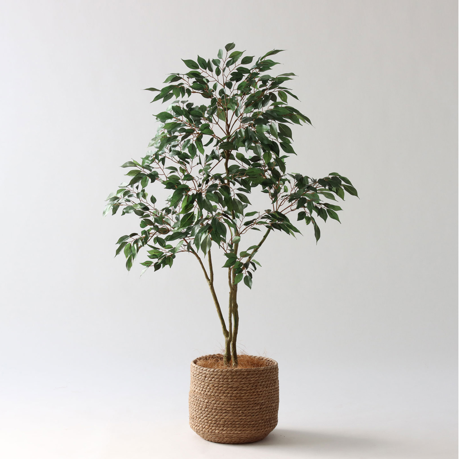 ドラセナ | プレミアム光触媒フェイクグリーン 造花ドットコム zouka.com