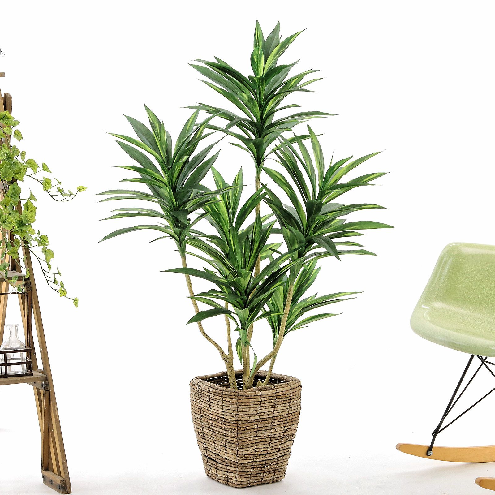 000000000117-05.jpg?t=