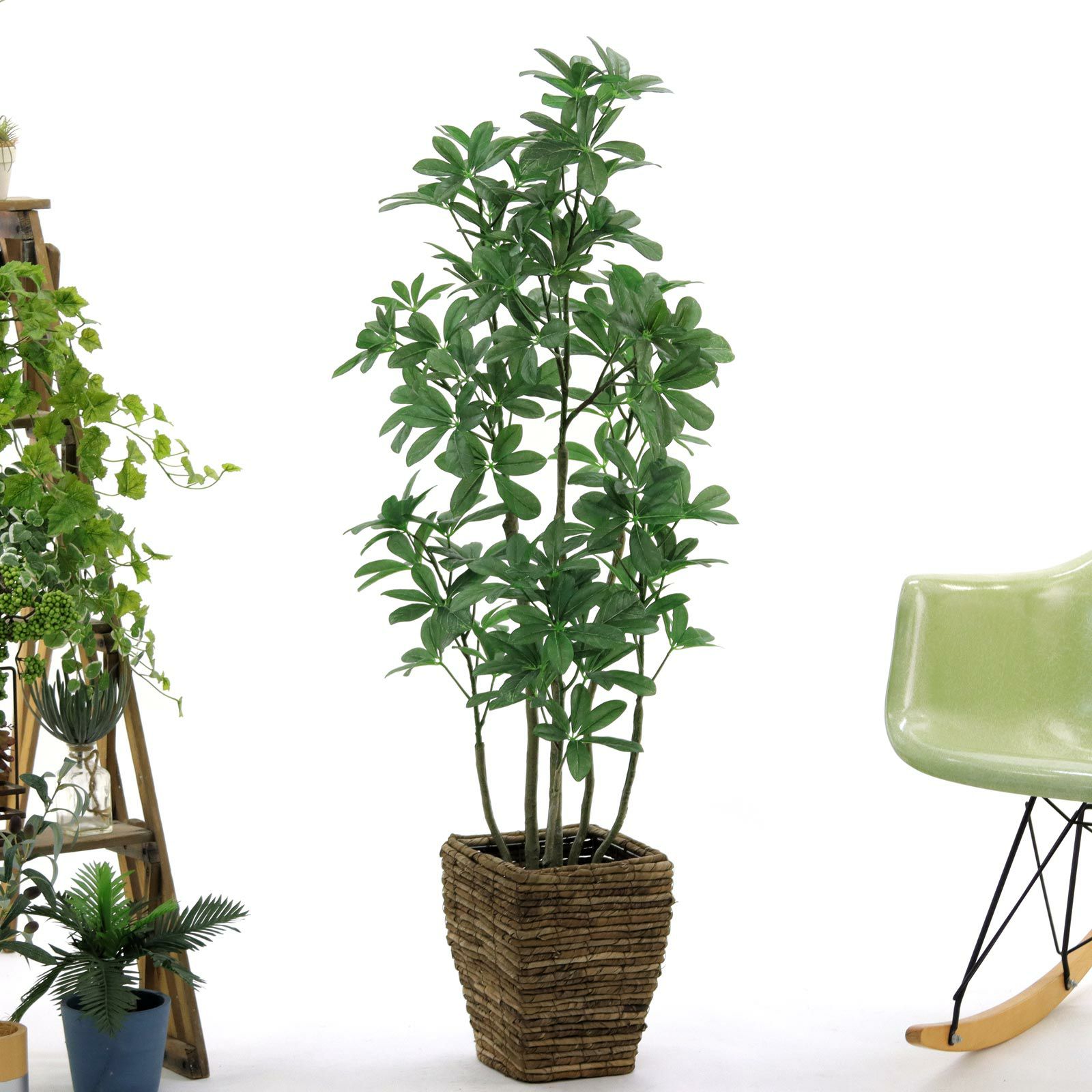 フィカス・ウンベラータ | プレミアム光触媒フェイクグリーン 造花