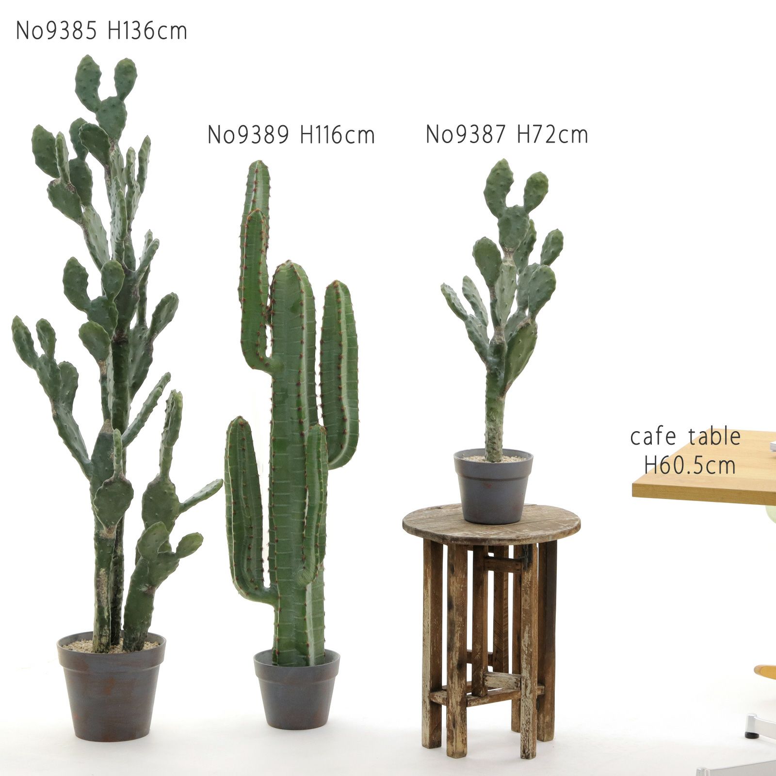 サボテン カクタス | プレミアム光触媒フェイクグリーン 造花ドット