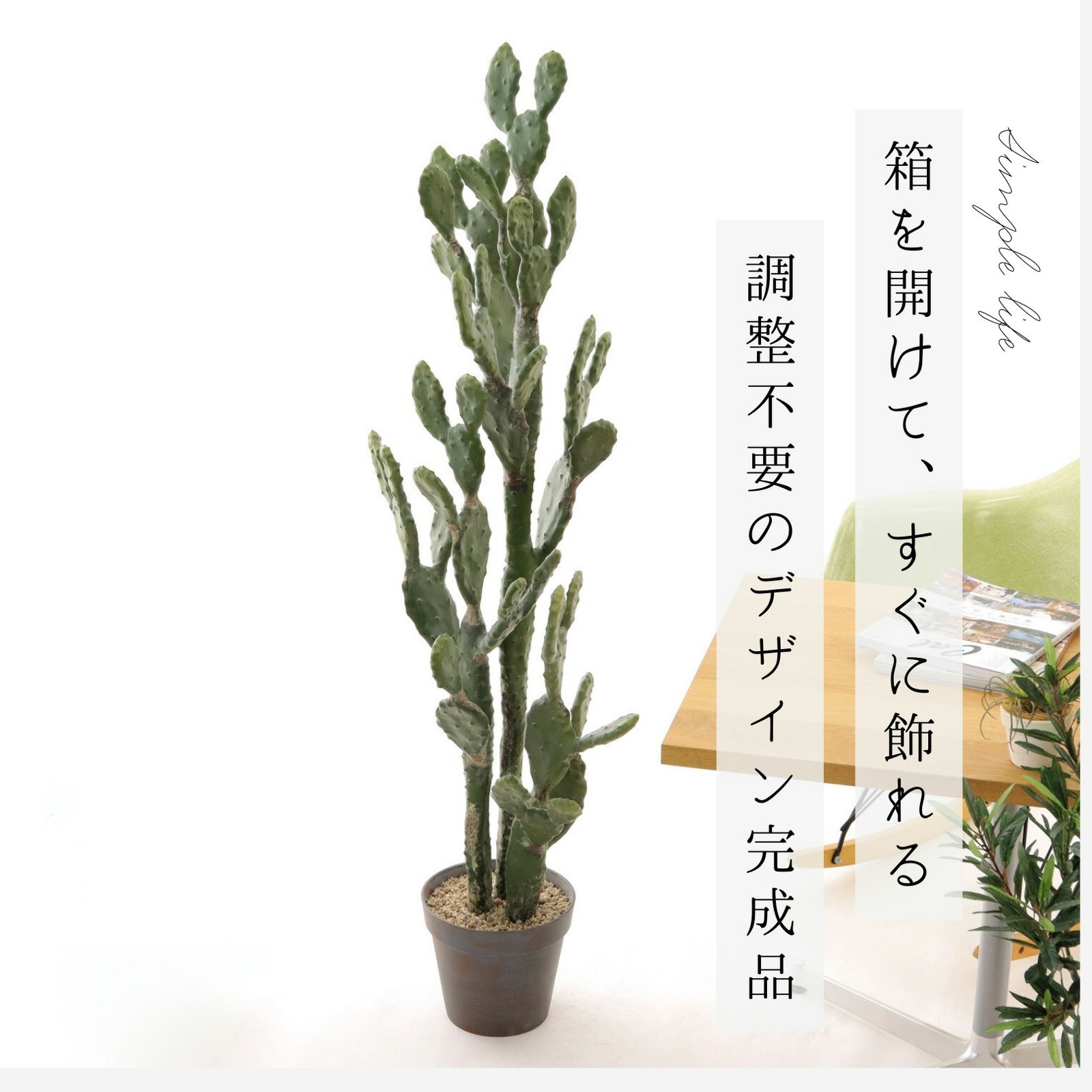 西海岸風 | プレミアム光触媒フェイクグリーン 造花ドットコム zouka.com