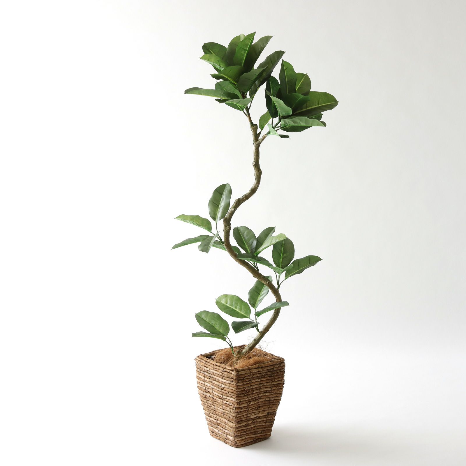 高さ120-150cm | プレミアム光触媒フェイクグリーン 造花ドットコム