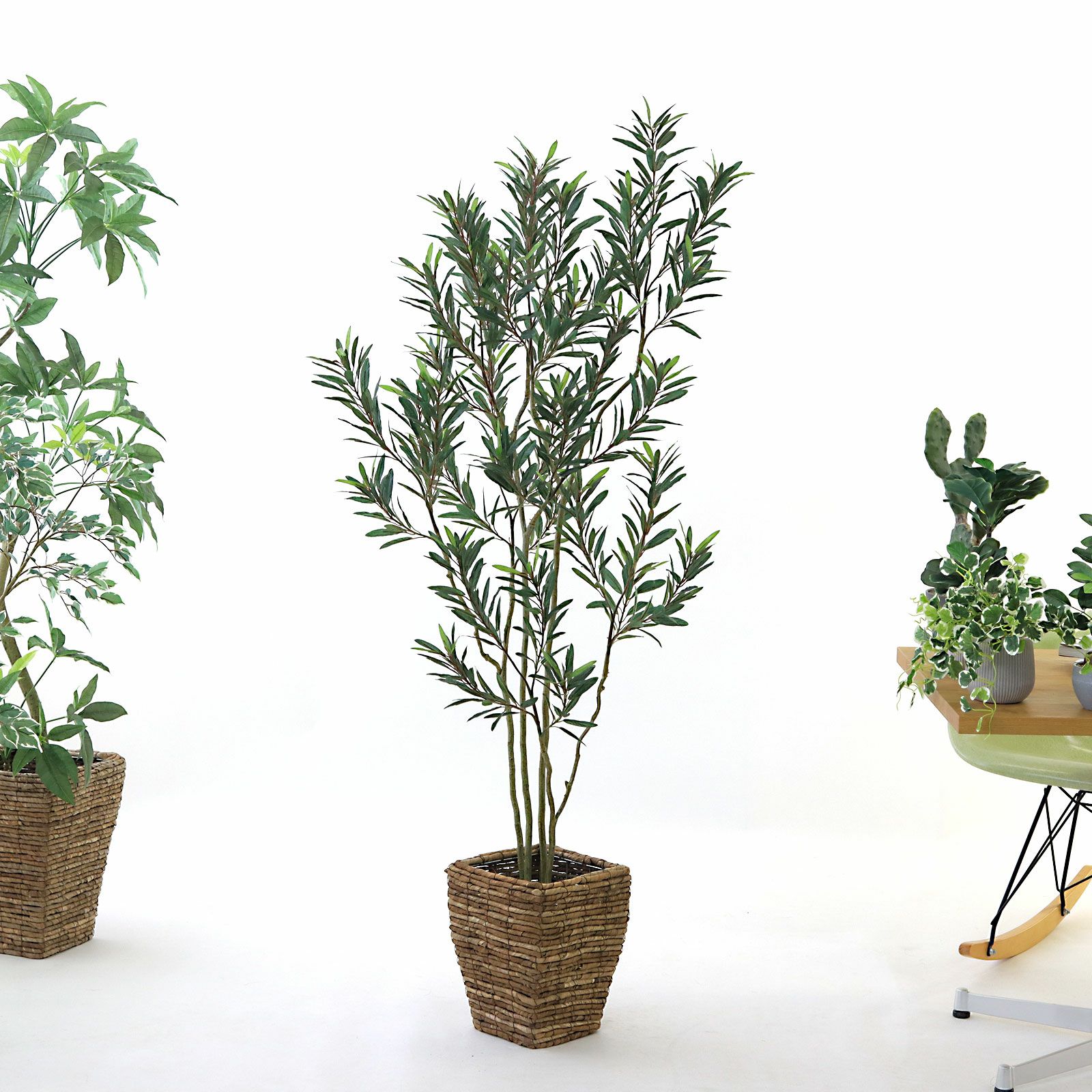 オリーブの木 | プレミアム光触媒フェイクグリーン 造花ドットコム