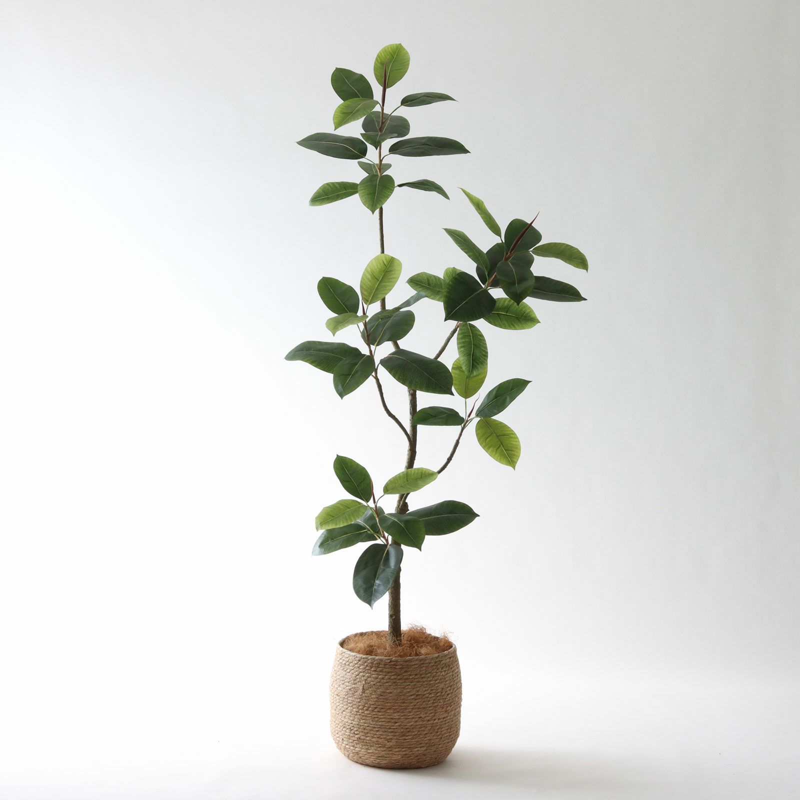 高さ180cm- | プレミアム光触媒フェイクグリーン 造花ドットコム zouka.com