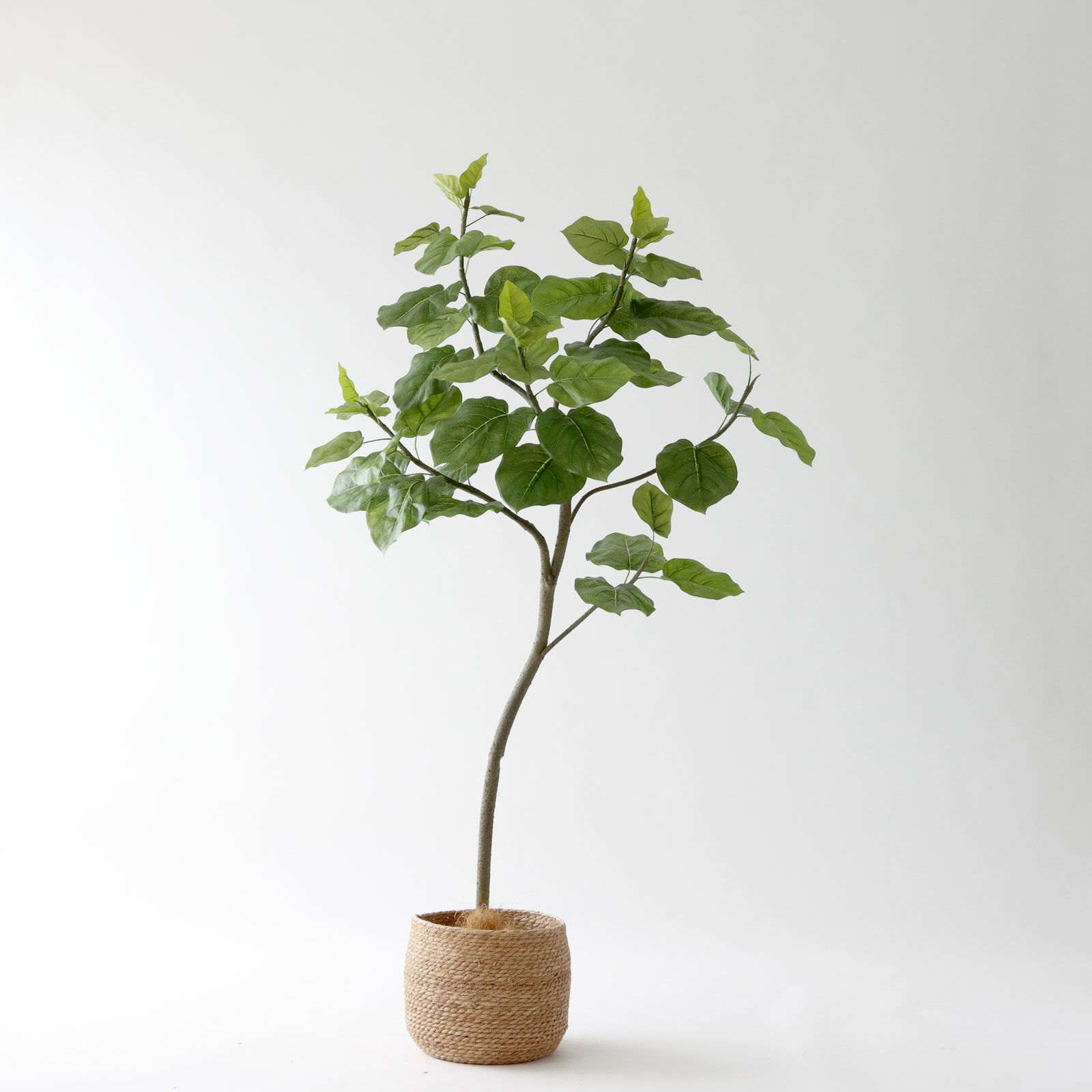 高さ180cm- | プレミアム光触媒フェイクグリーン 造花ドットコム zouka.com