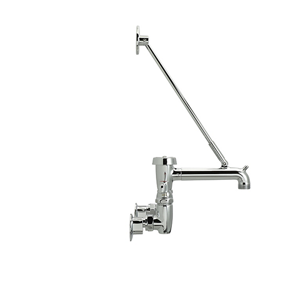 Z843M1-XL AquaSpec® wall-mount faucet with 6