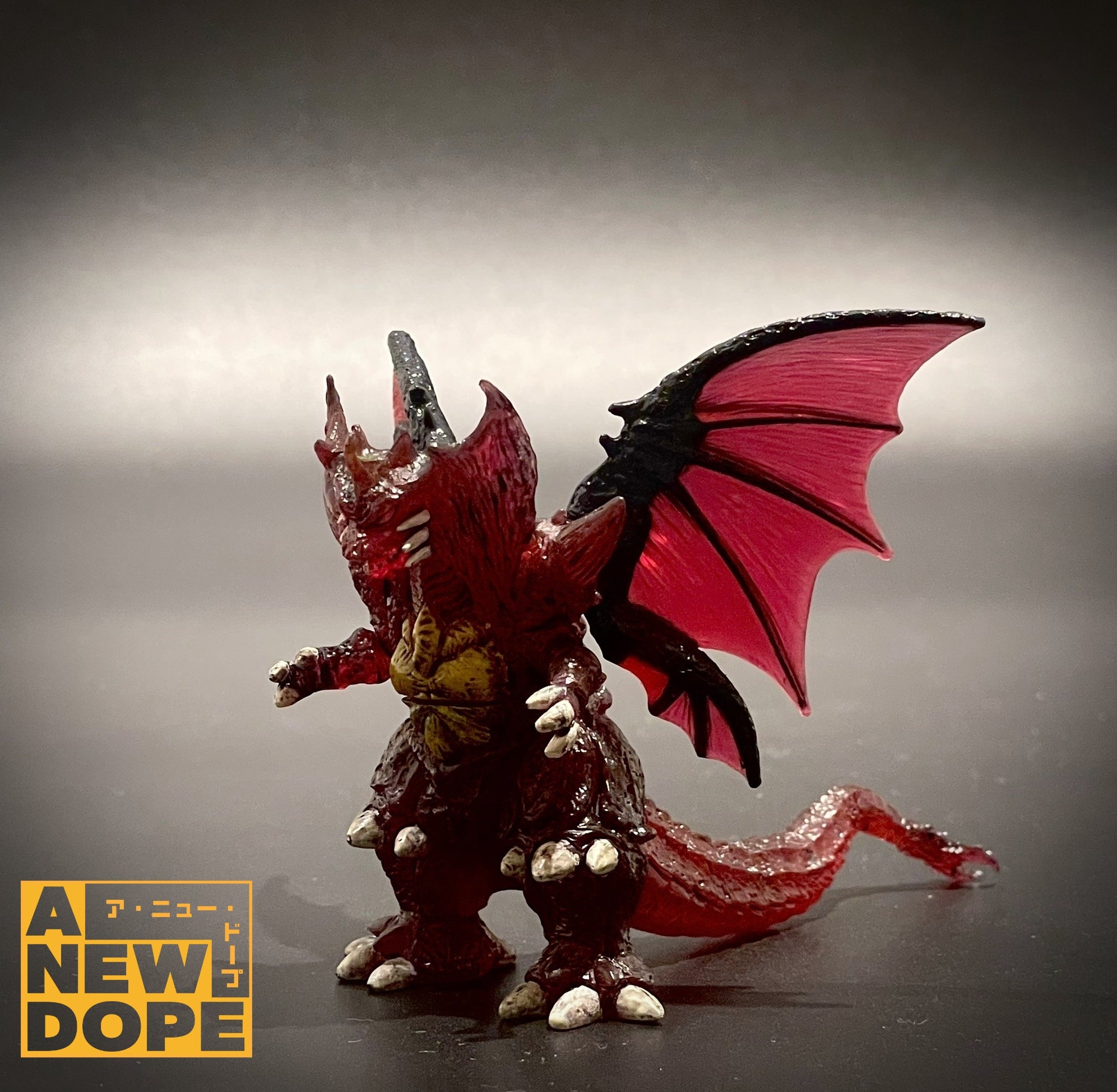 LINE_ALBUM_AND__250205_67.jpg?