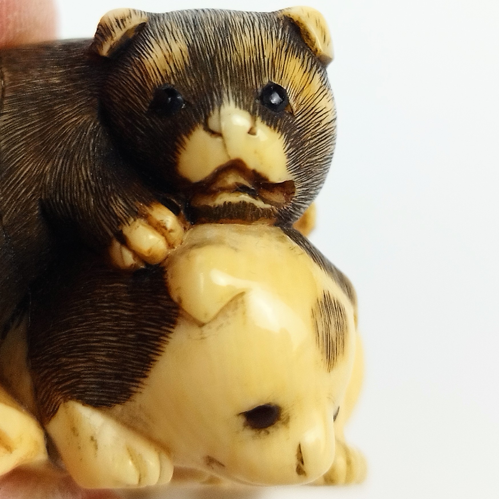 牙彫り根付 犬 – 古美術西川