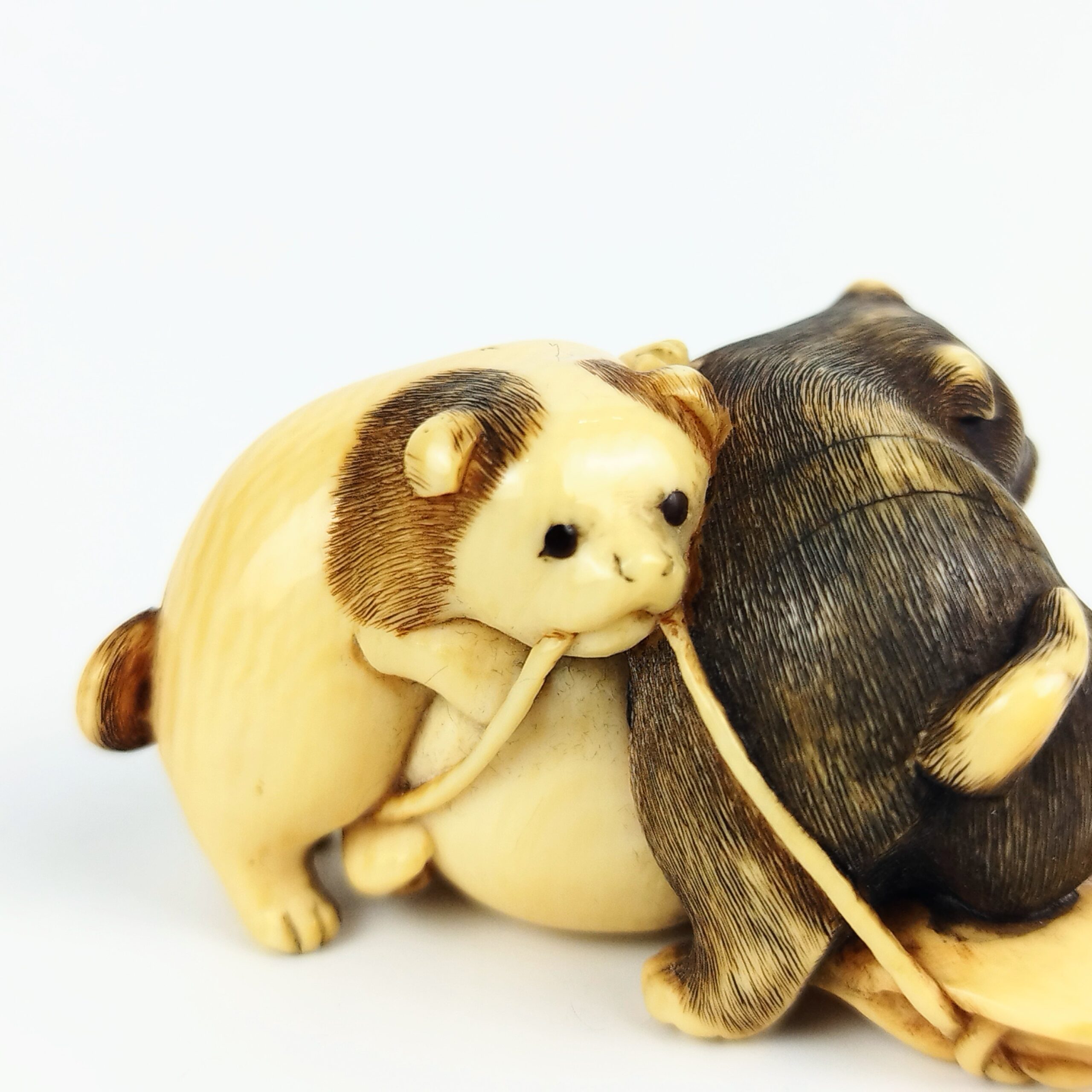牙彫り根付 犬 – 古美術西川