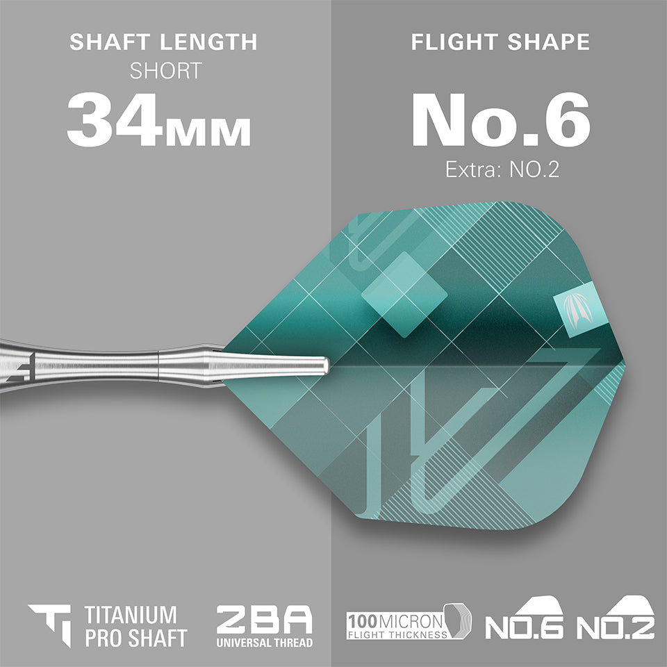 Target Rove 10 Soft Tip Darts - 20gm