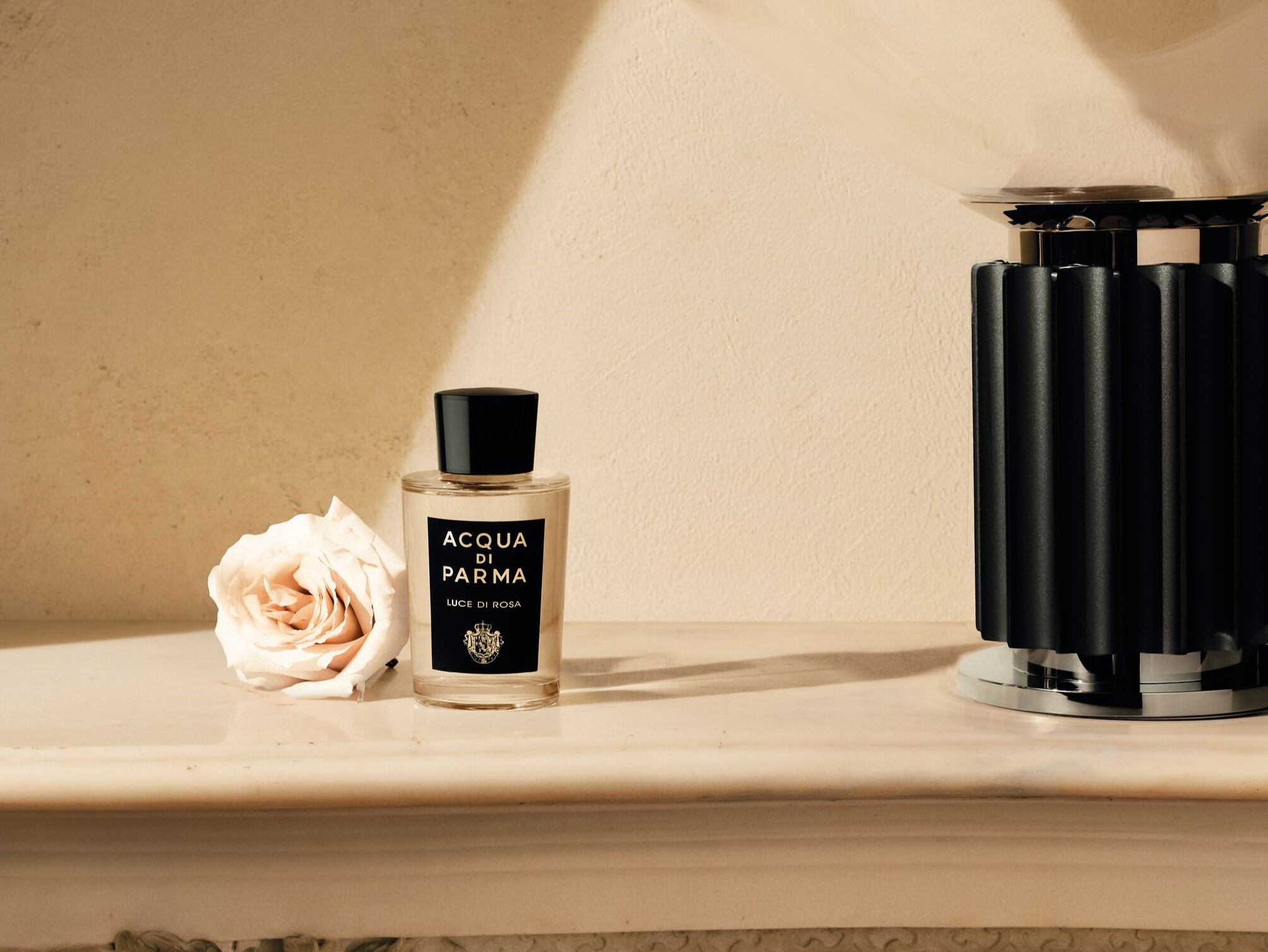 シグネチャーズ オブ ザ サンからダイナミックなローズの香り