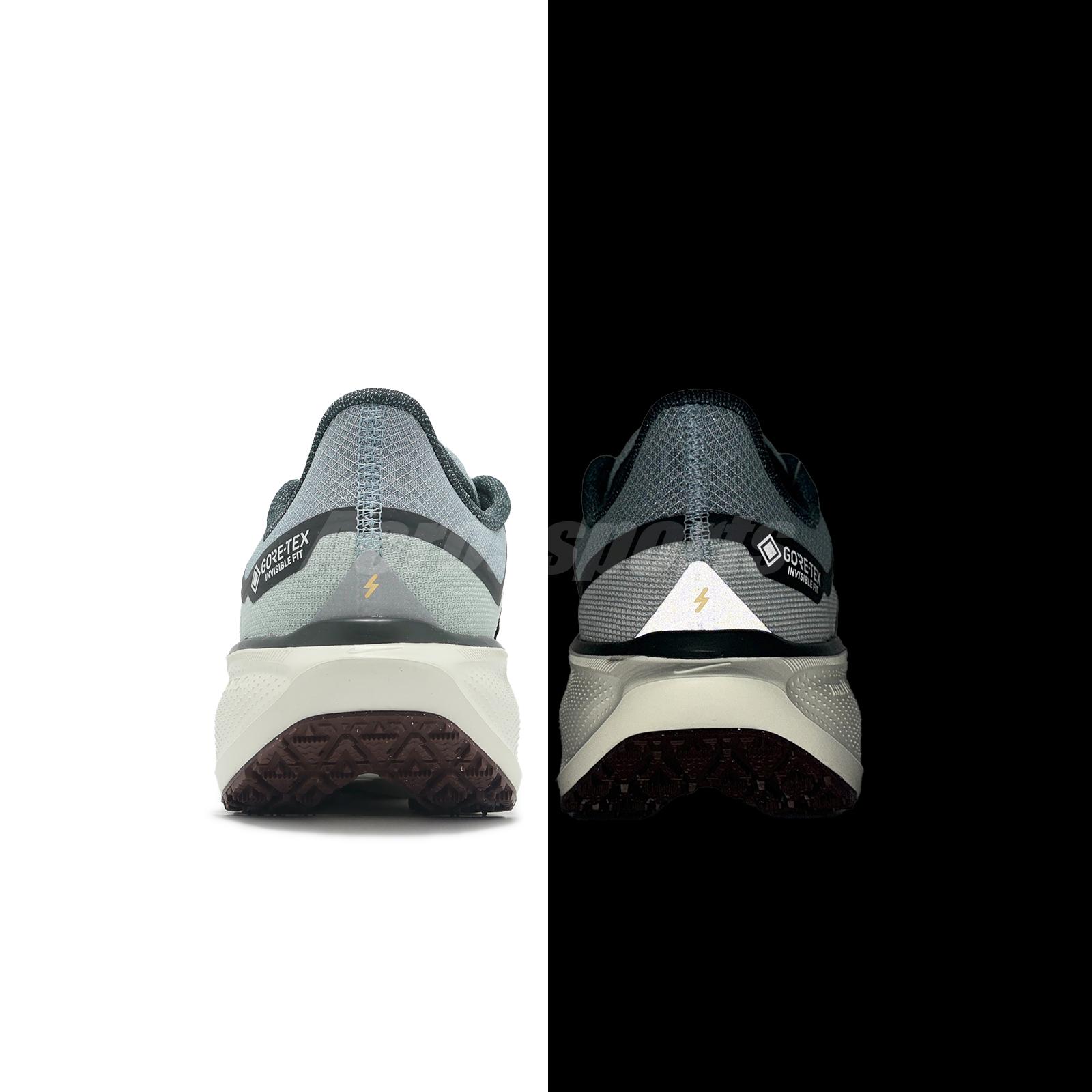 Nike Air Zoom Pegasus 41 GTX Gore-Tex Pumice Burgundy Men Running