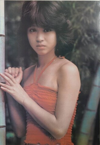 宅配買取】松田聖子の木製パネルポスター ｜古本買取店エーブック