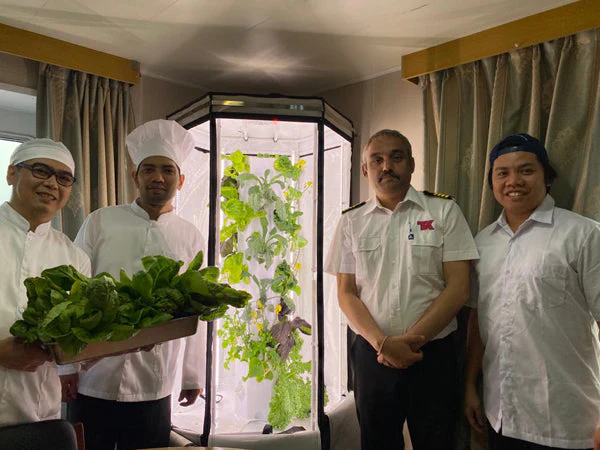 噴霧式縦型水耕栽培システム「エアロスプリング」Aerospring