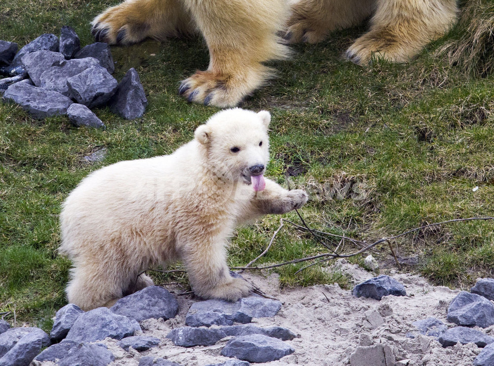 img_65cccdfaf5116ab1630565145d