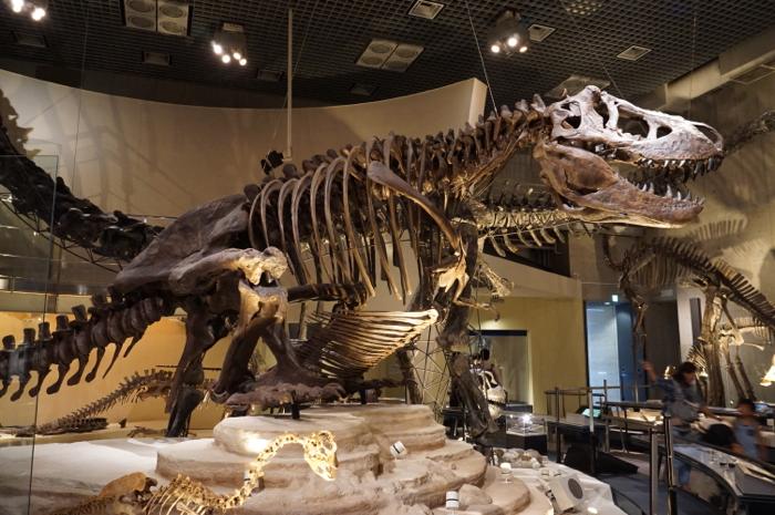 国立科学博物館・リニューアル展示 | ふらぎ雑記帳