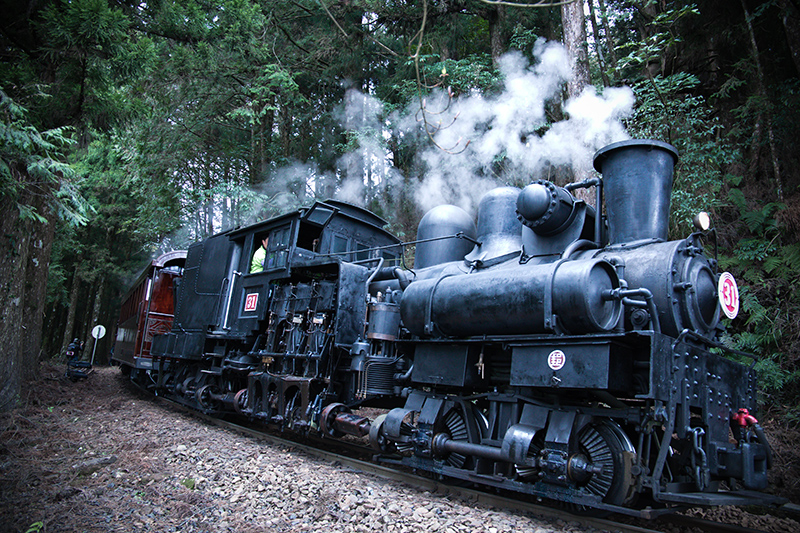 林業鉄道-車両の紹介-シェイ式蒸気機関車