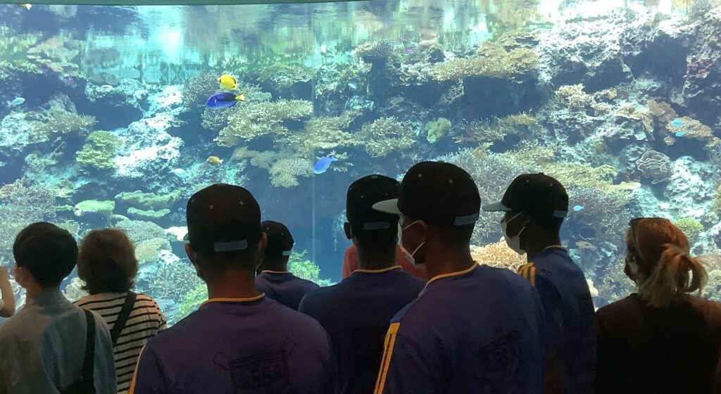 沖縄美ら海水族館で思ったこと～ウミガメのお腹から出てきたビニール袋