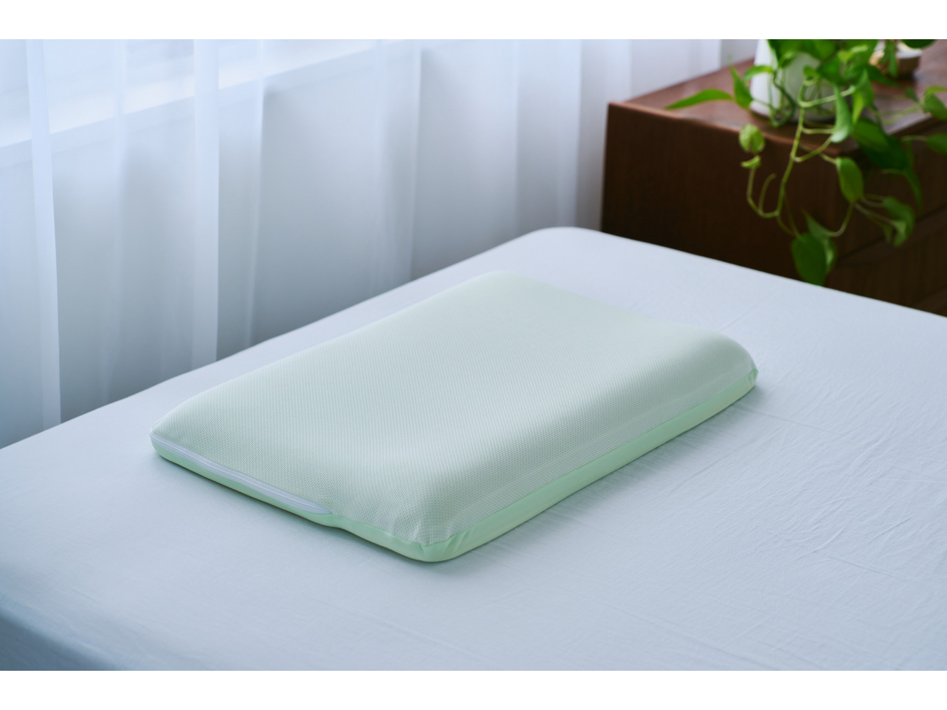 zz-AF0002-1.jpg?1729850081