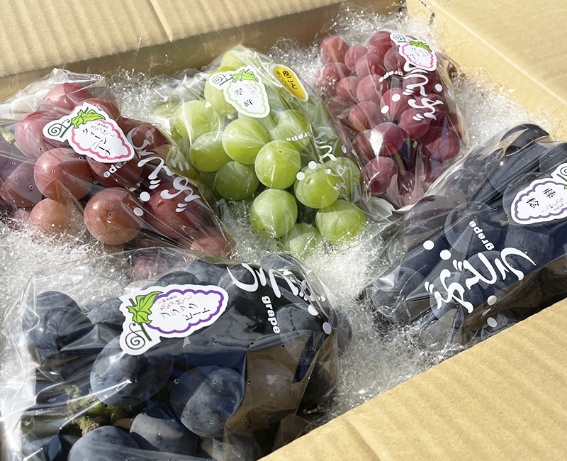 旬採りぶどう詰め合わせセット（大） | 観光農園あかぎおろし