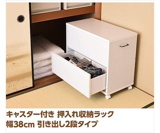押入れ収納ラック（キャスター付） 引き出しタイプ 2段 ホワイト ECSR