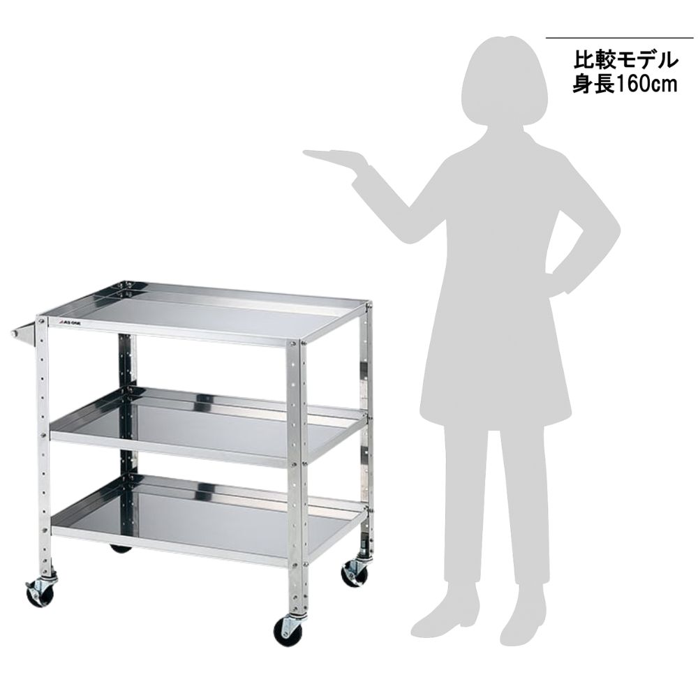 3-1557-04 ステンレスヘビーワゴン 枠付きラージ 3段 【AXEL】 アズワン