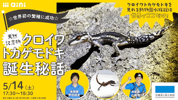 394900_original?auto=format&