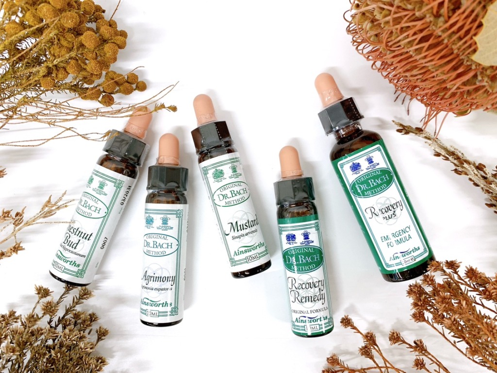 バッチレメディコース | エインズワース | エインズワースホメオパシー薬局