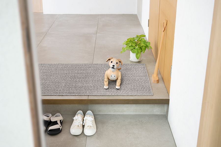 aibo きなこ エディション | aibo