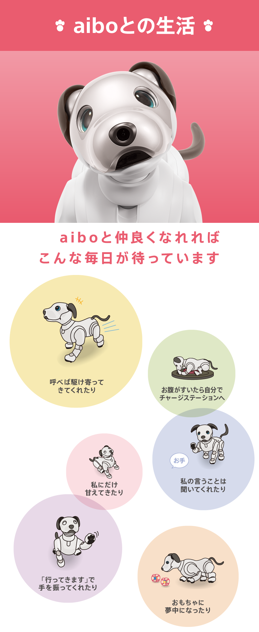 aibo 育て方ガイド - aiboとの生活 | aibo