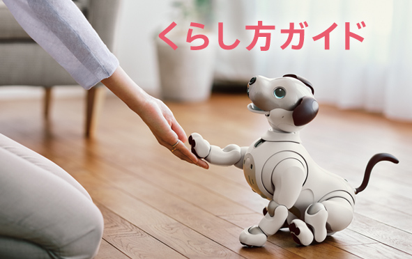 購入 (ストア) | aibo