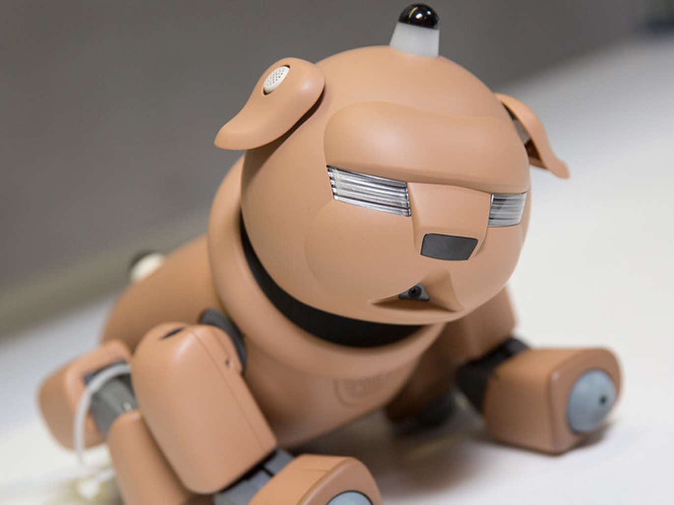 AIBO ERS-311; so noisy!
