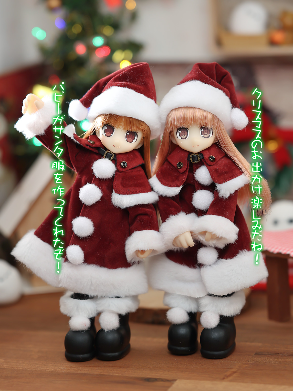ネイリー姉妹のサンタ服 - Aika Flowers