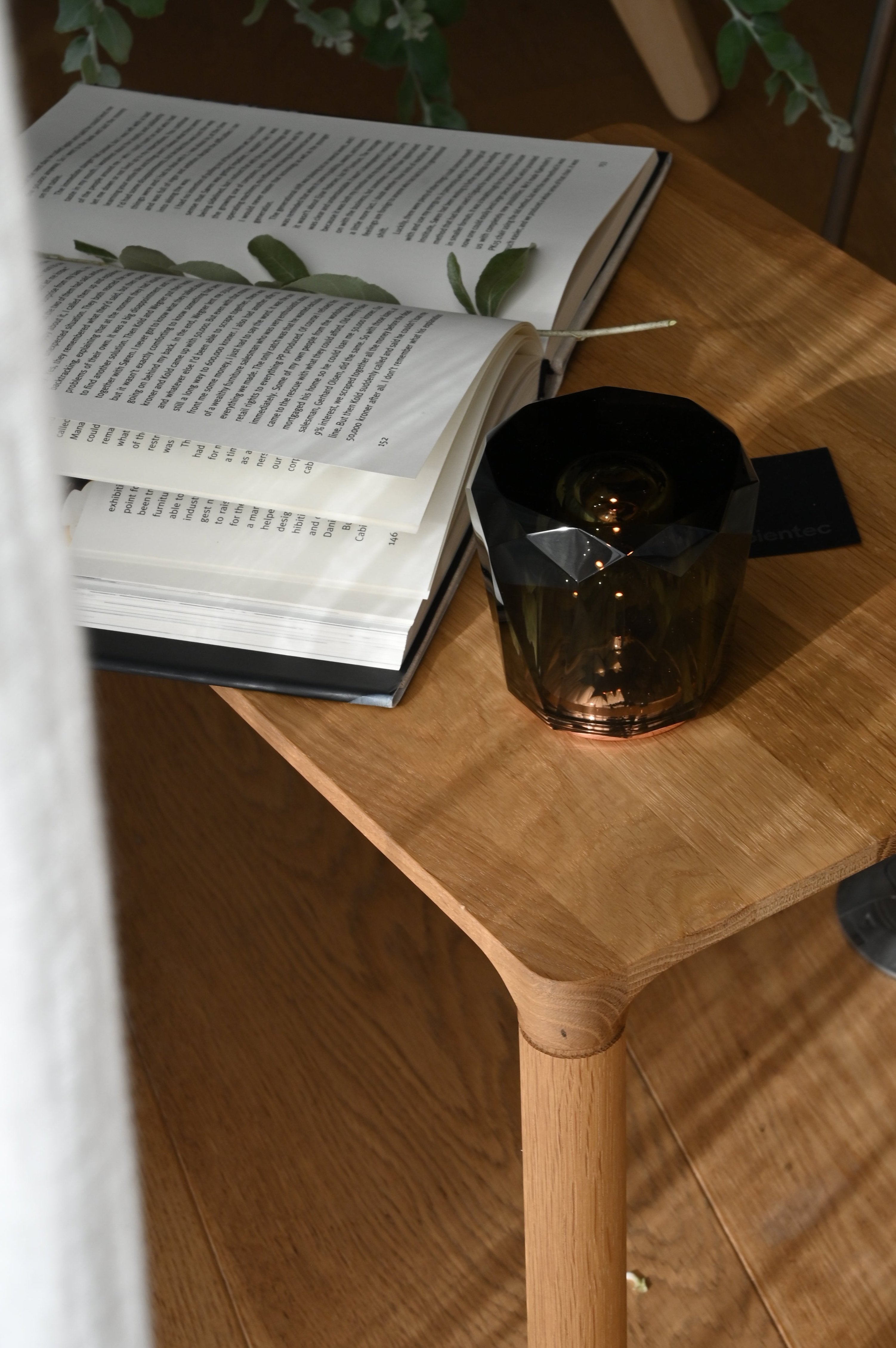 アンビエンテック/Ambientecクリスタル・アクルクス/Xtal Acrux Dark