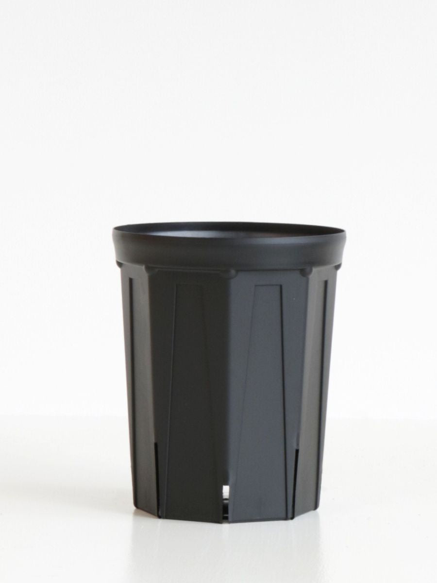 slit7-bk.jpg?v=1727398800&