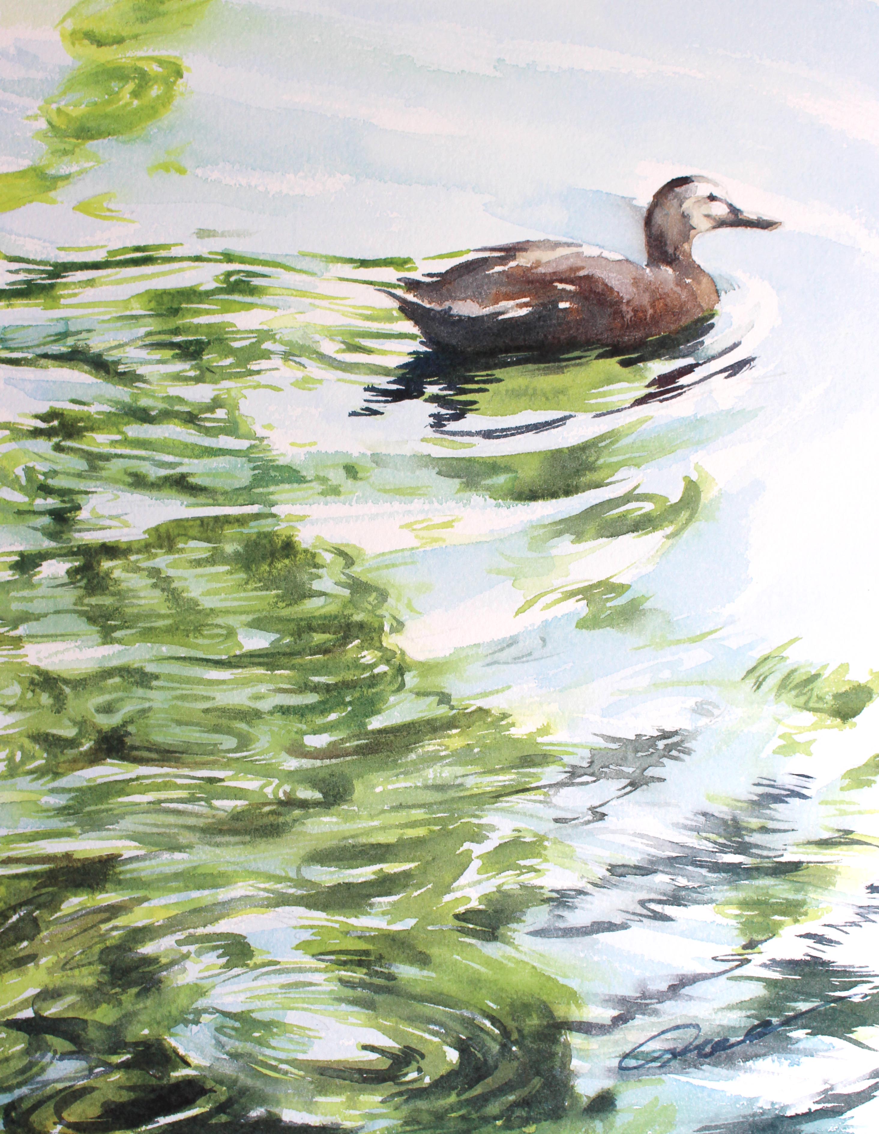 青江健二「三原色で描く水彩画・水鳥」（終了致しました） | NEWS