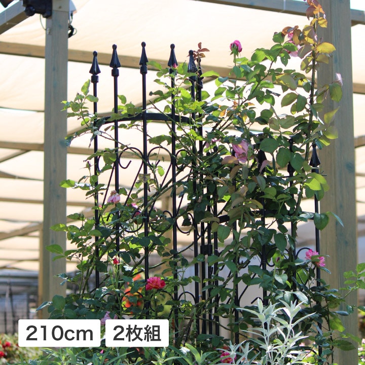 ラウンドトレリスL 2枚組 RDT-210/2S 4975149372829