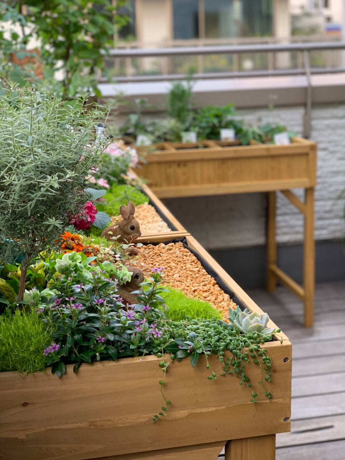 育てているのは、家族のじかん。ベジトラグ特集｜青山ガーデン