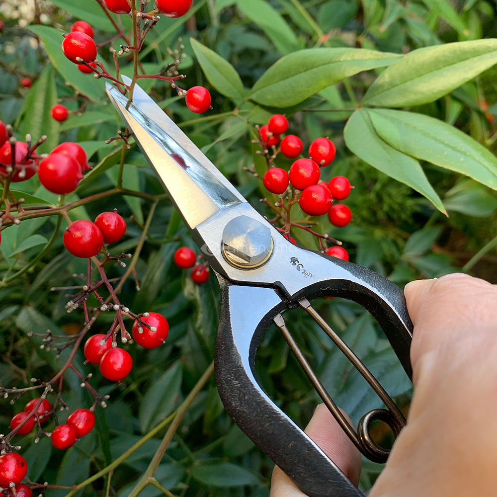 双刃型両刃芽切鋏 8インチ 金止（本体・パーツ類） – amenoma