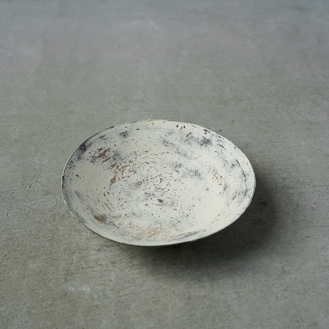 大澤 哲哉 - アメノイエ